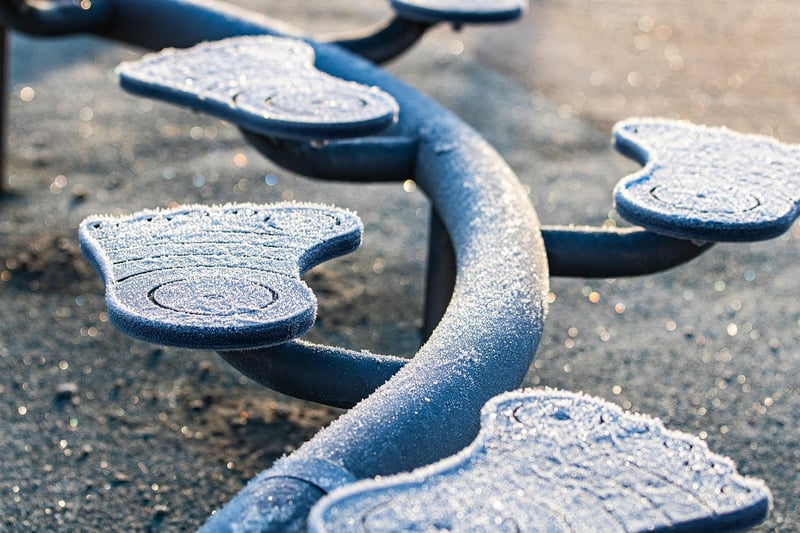 Serpentine Wonders