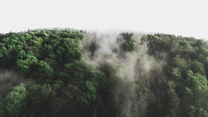 Elven Sanctuary